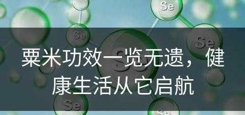 粟米功效一览无遗，健康生活从它启航